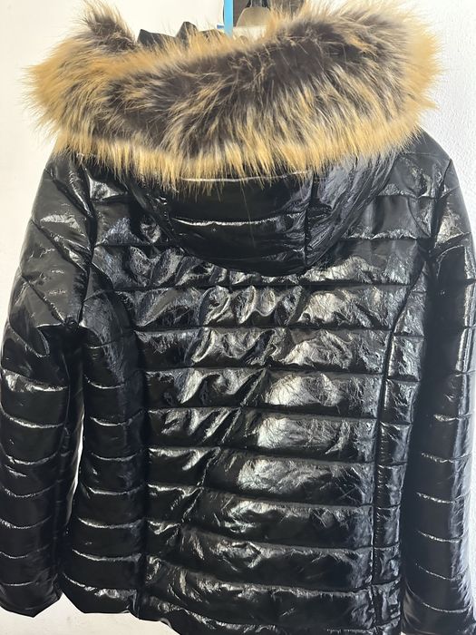 Vand geaca lucioasa de damavand