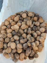 Орехи реколта 2022