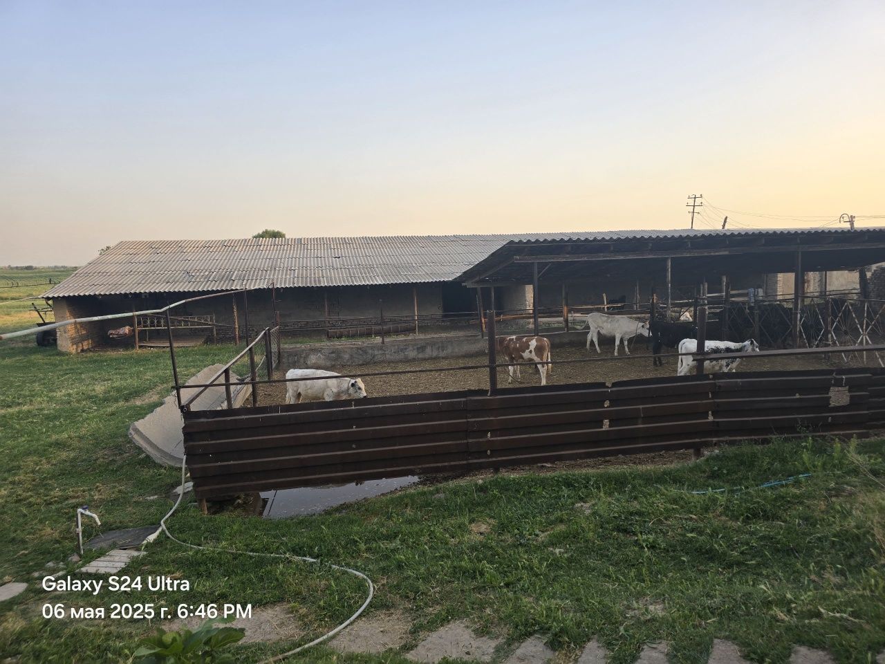 Ferma sotiladi   ( 1,25 Ga)   Juma bozorda Продается Ферма