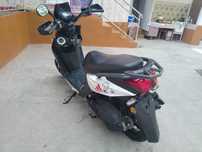 Samuray 2024 BWS