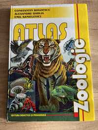 Atlas zoologic - Bogoescu