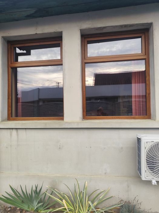 2 Geamuri termopane identice