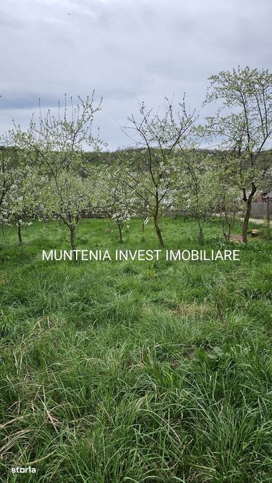 Teren 2658 mp. intravilan, Com. Bogați, sat Glambocelu