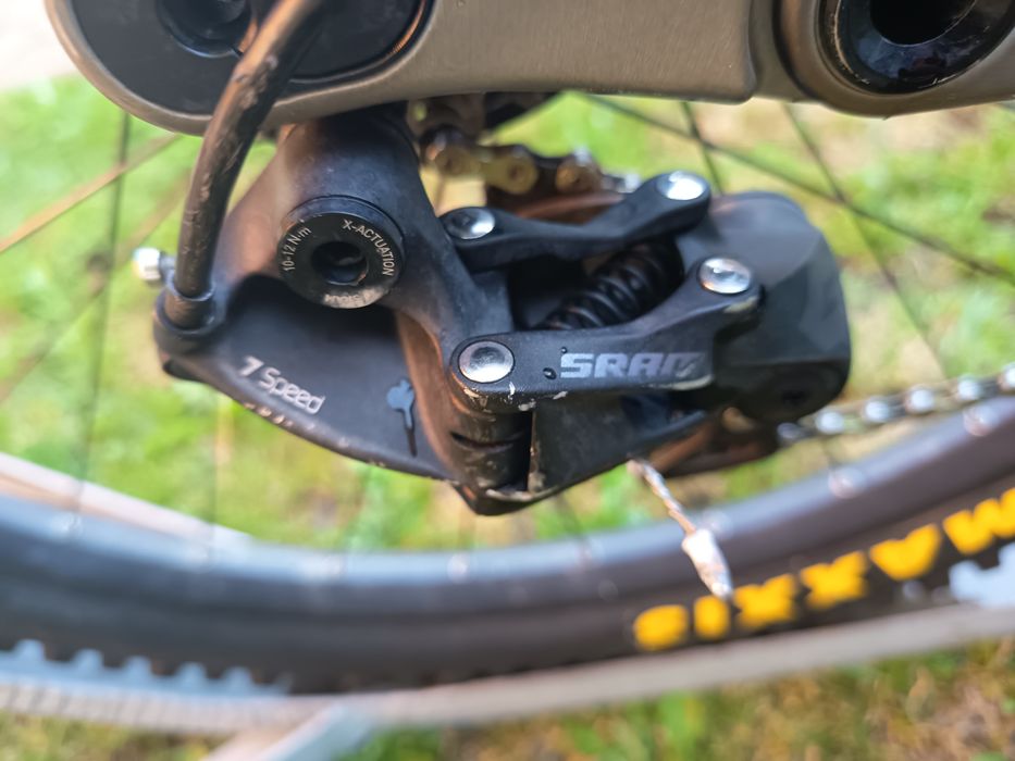 Schott gambler dowhil