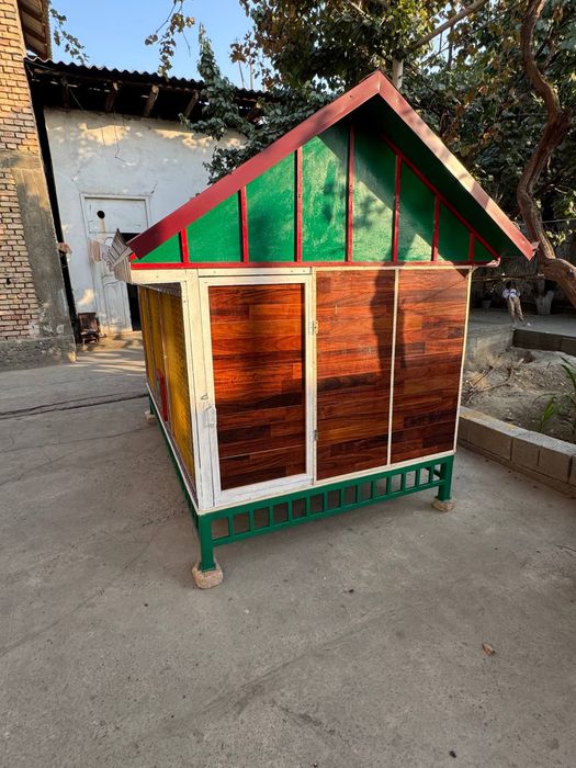 Katak sotiladi 500$ kami bor