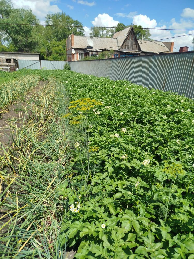 Продам благоустроенную квартиру в городе Щучинск.