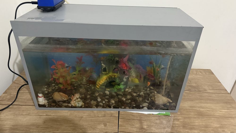 Аквариум сотилади