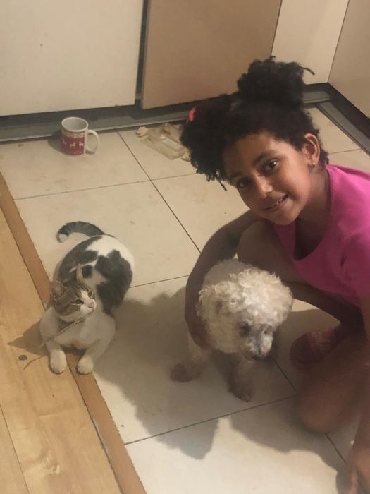 Cazare animăluțe de companie