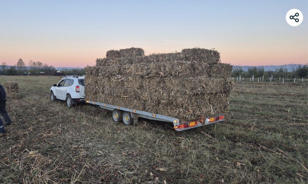 Baloti paie de grâu, de ierburi, de iarba de sudan/maturi. Producator.