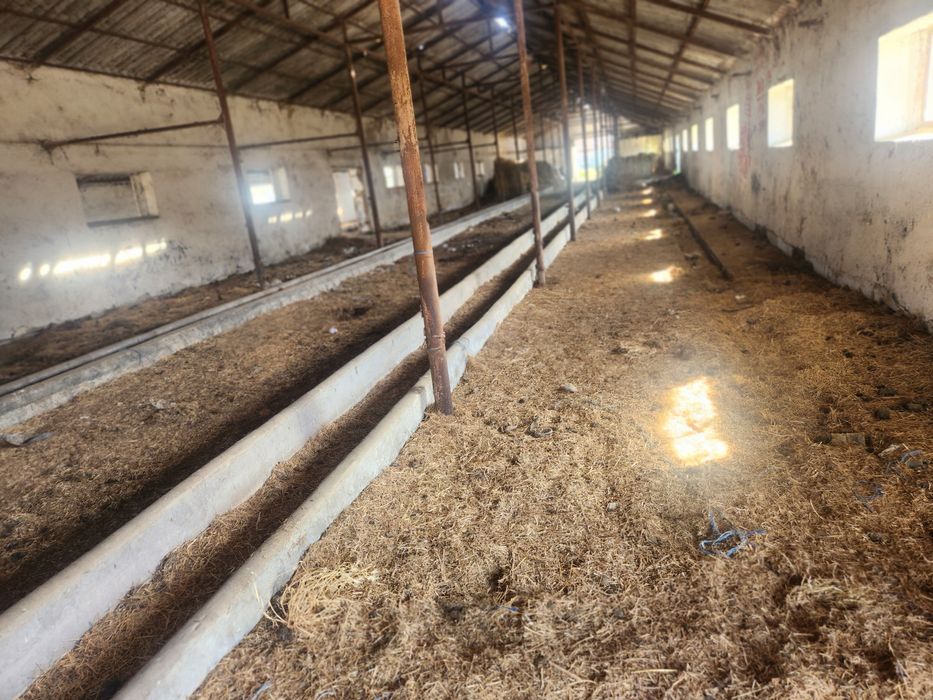 Vând sau Închiriez Ferma Animale