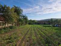 Teren de vânzare – 2533 mp, Zăgujeni (com. Constantin Daicoviciu