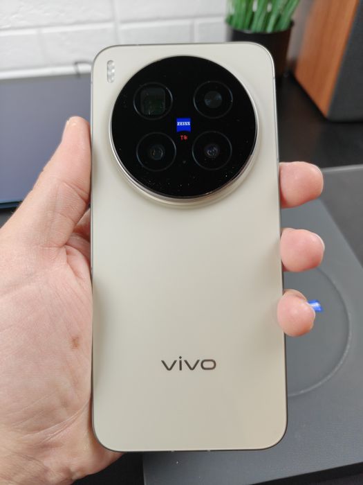 VIVO X300 Pro 12/256