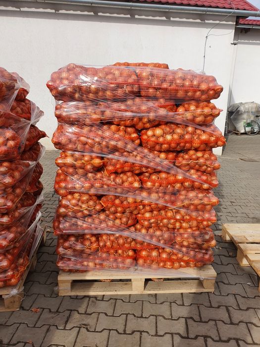 Cartofi alb,  60+ ceapa 50+