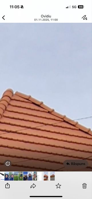 Vand tigla ceramica Ringer