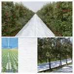 Folie Mulcire-AGROTEXTIL=ALB: 2.07x100m=830lei/rola; 4.15x100m=1650lei