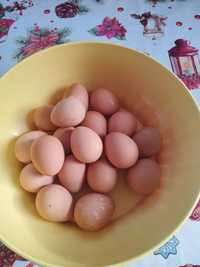 Vind ouă de bibilică