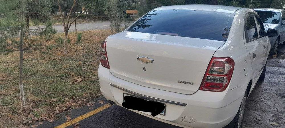 Cobalt 1-pozitsiya, 2014