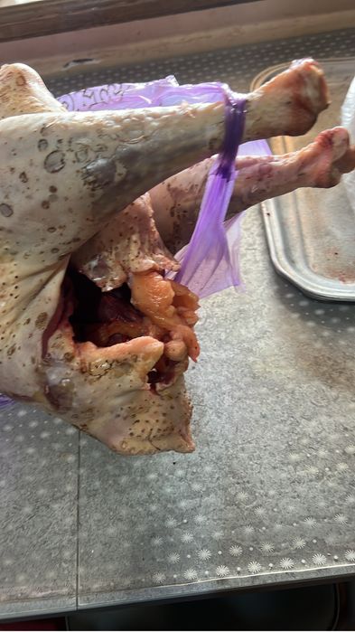 Күркетауық еті сатылады