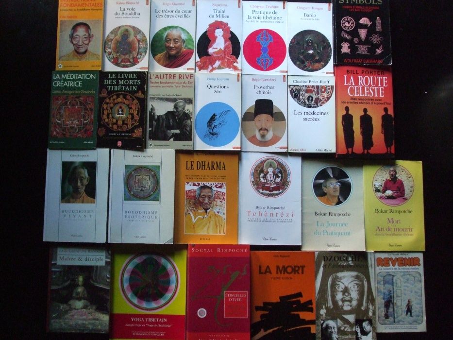 colecţie 29 cărți budhism_tibetan, indian, zen, dao_în limba franceaza
