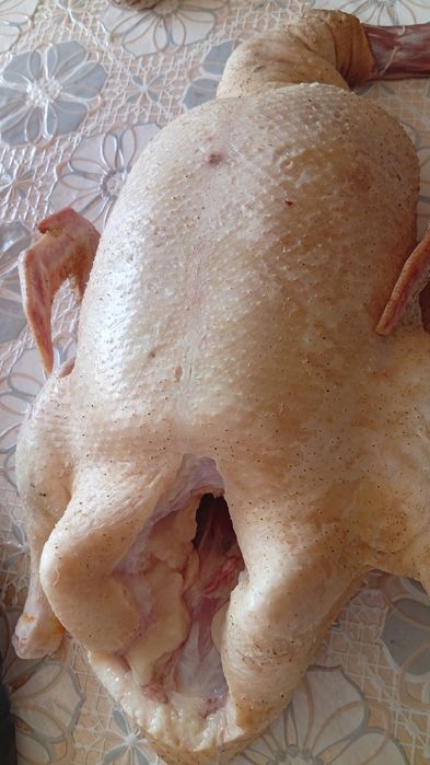 Домашняя,жирная уточка