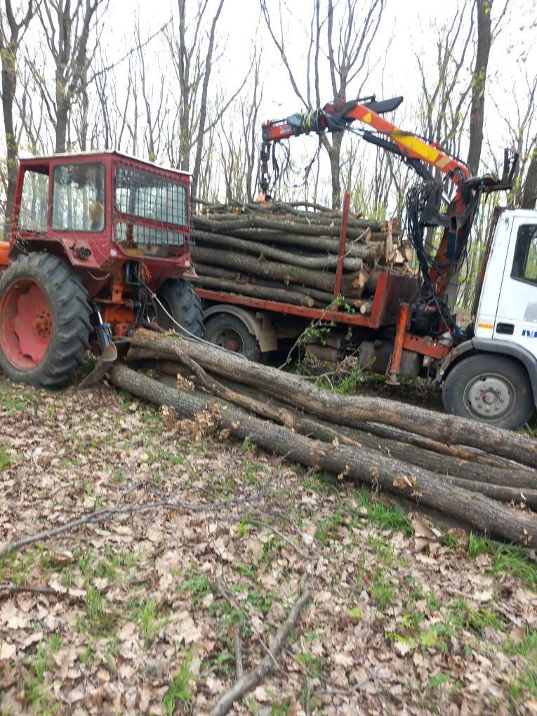 Lemne pentru foc!!