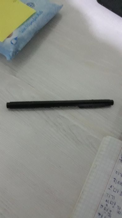 Koreadan kelgan ruchka