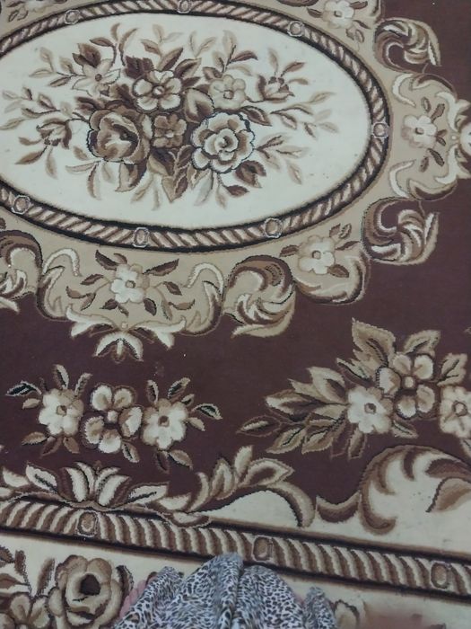 Прадайотса кавор