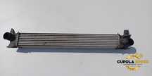 Radiator intercooler 53144431 2.0 2.2 HDI Fiat Ducato 3 Typ250 [1st f