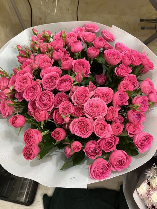 Продам цветы свежие недорого цены разные