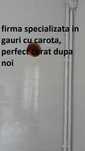 Carotam Rapid & Curat Gaura Hota/centrala, desfundari canalizari