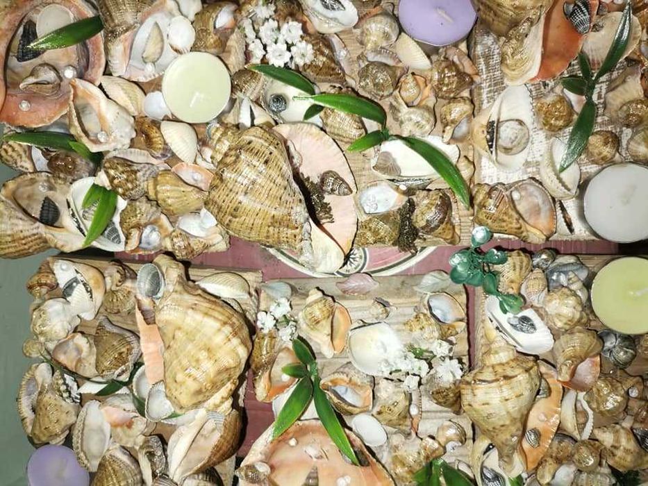 vor sa plece ...anintiri de neuitat