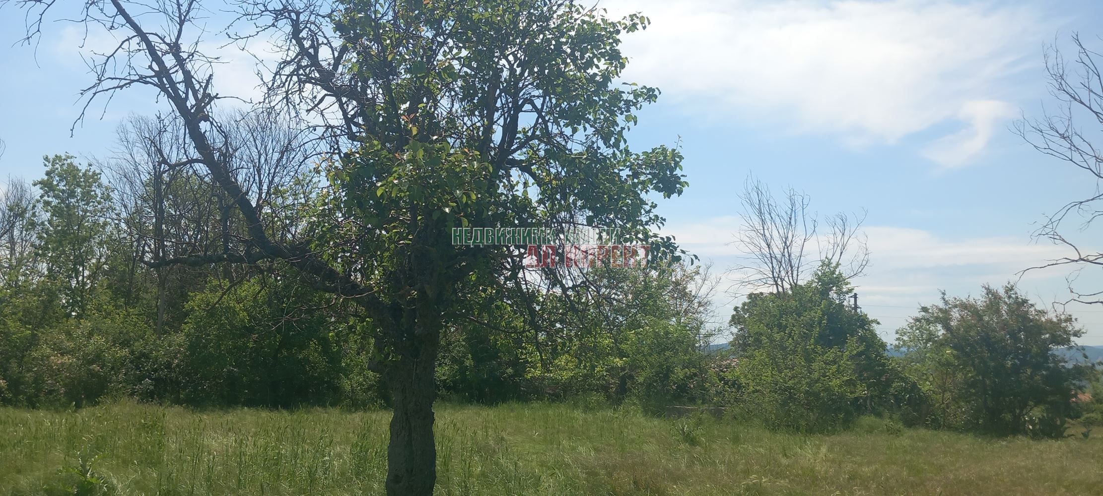 Парцел в Варна, област-с.Кривня площ 2620 цена 26000