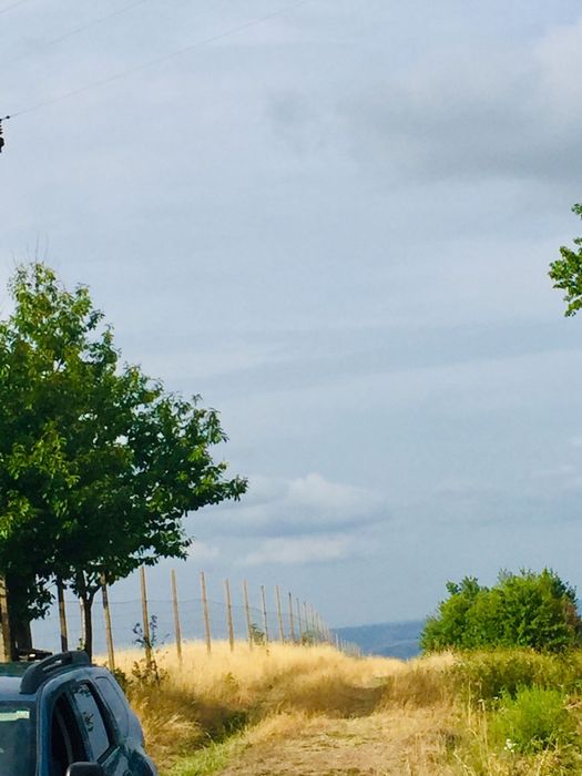 Vand Teren in Sinteu