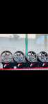 Jr sl03 джанти japan racing 19 цола 5х112 9.5 ет20