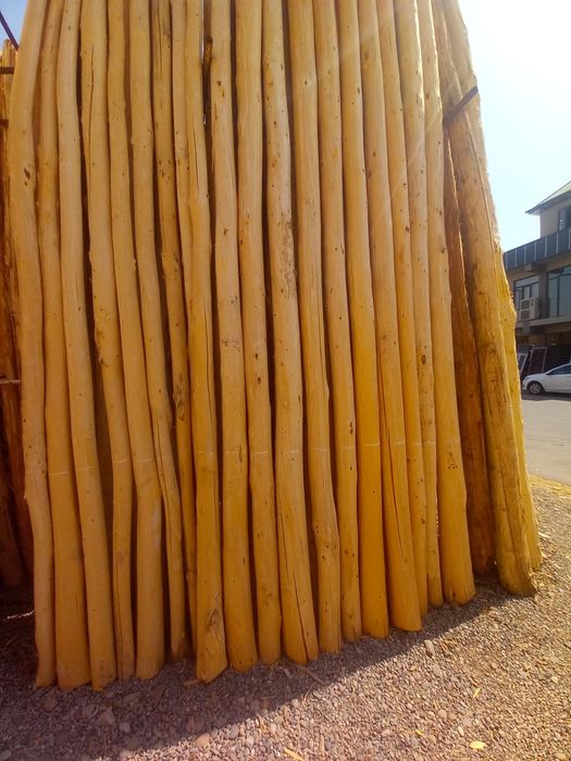 Арзон тераклар бор