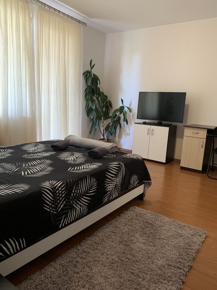 Apartament 1 camera regim hotelier