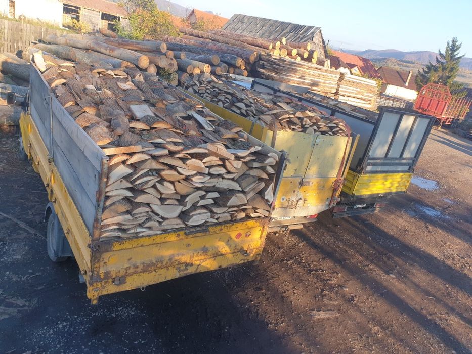 Lemn de foc esentă tare