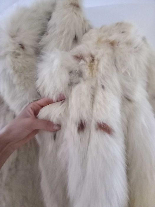 Vând blană din vulpe polară