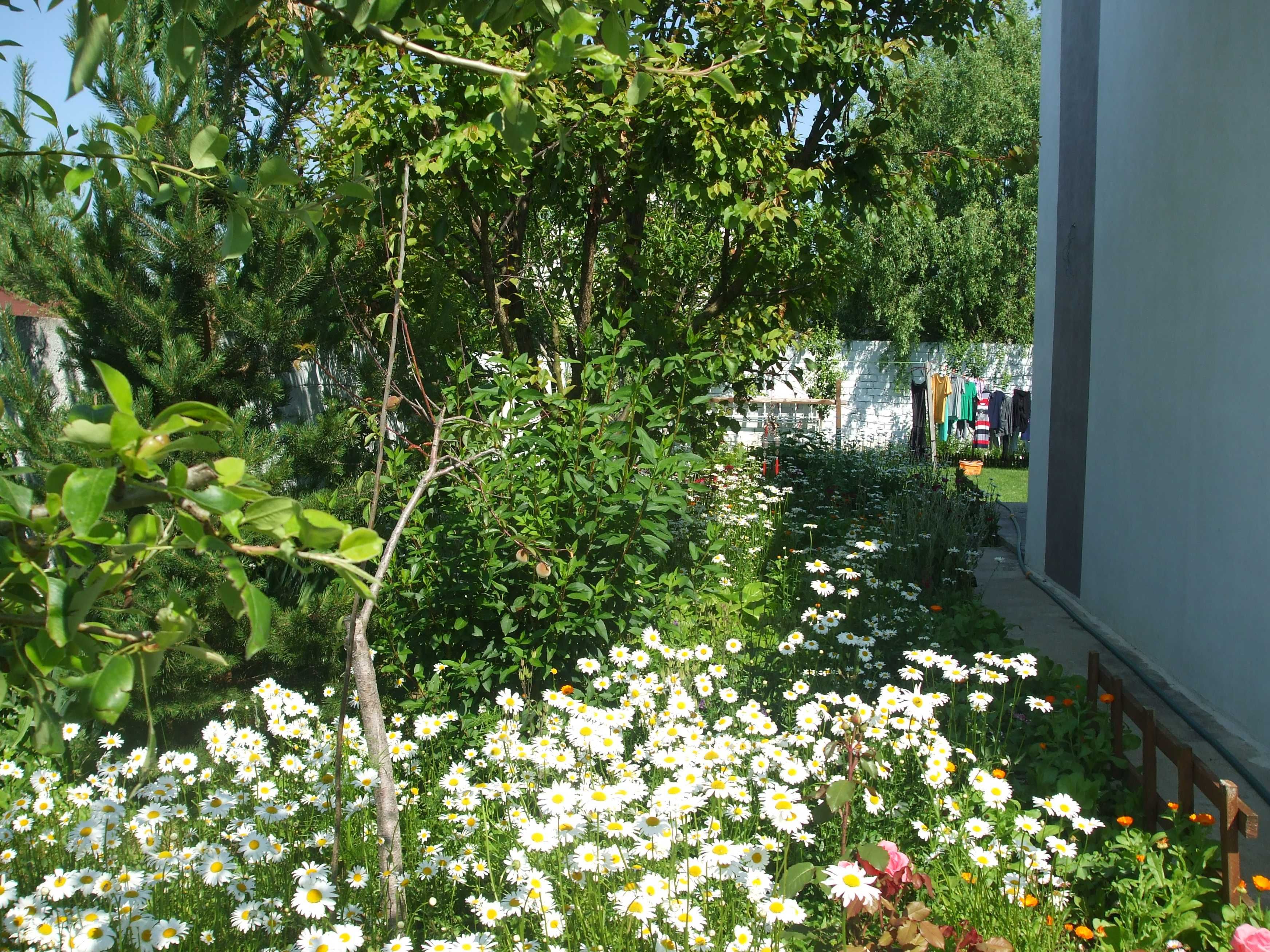 casa tip BUNGALOU