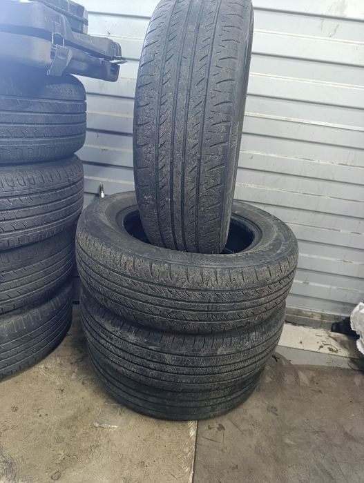 13 balon matiz holati orta