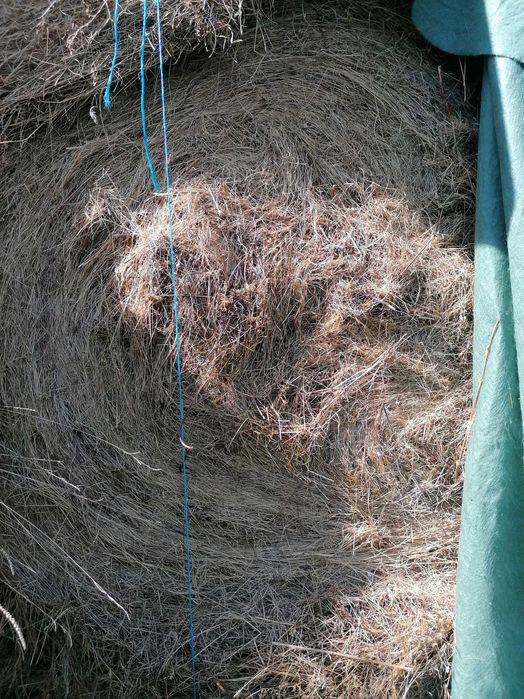 Baloti de lucernă și fan