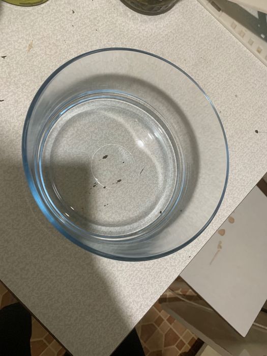 Стеклянный бокс для еды, новый