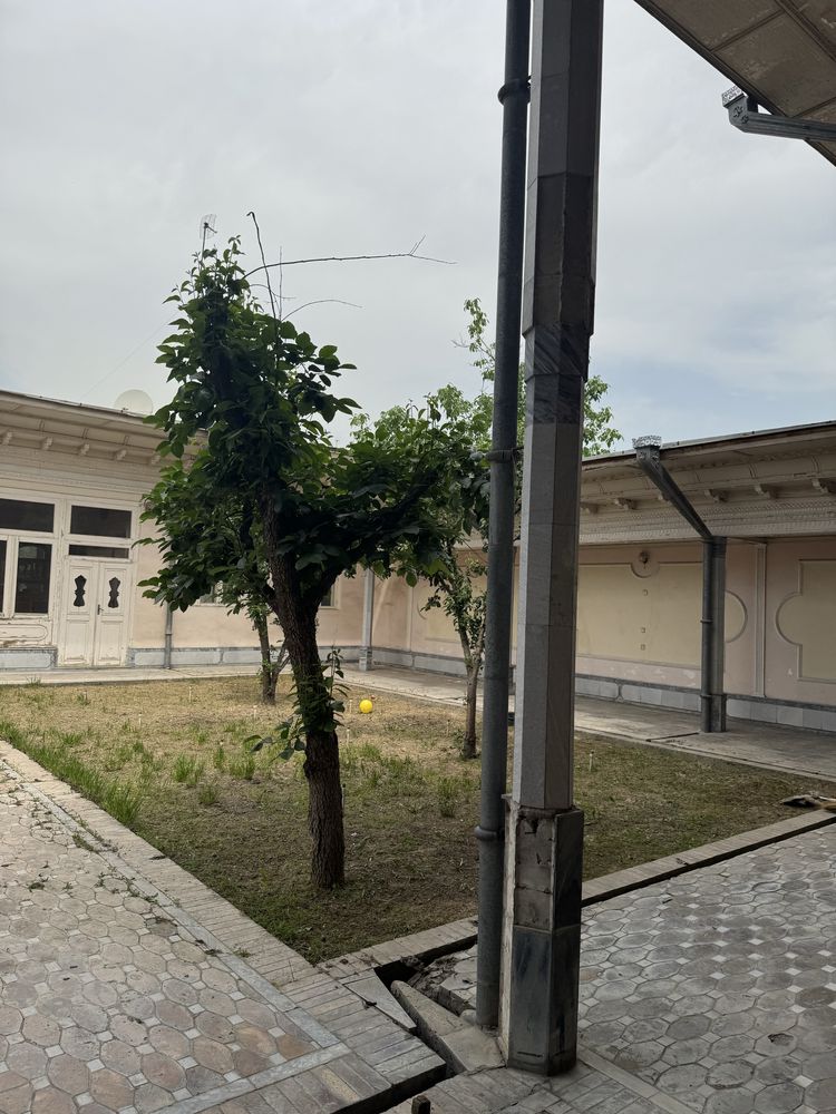 Uy Sotiladi Moshina bozorni ro’parasidan yaxshi xonadon 8 sotix