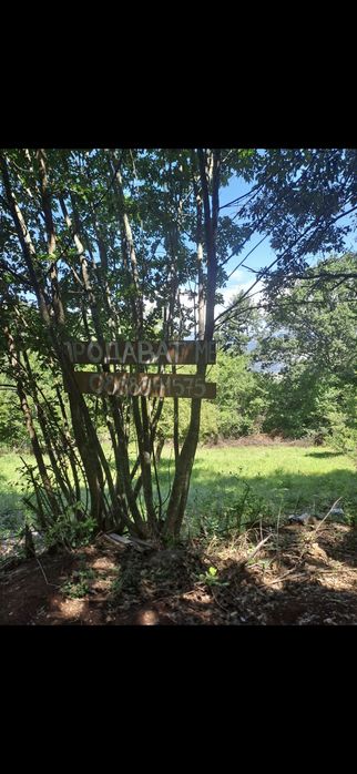 Дворно място в с. Ново Бърдо