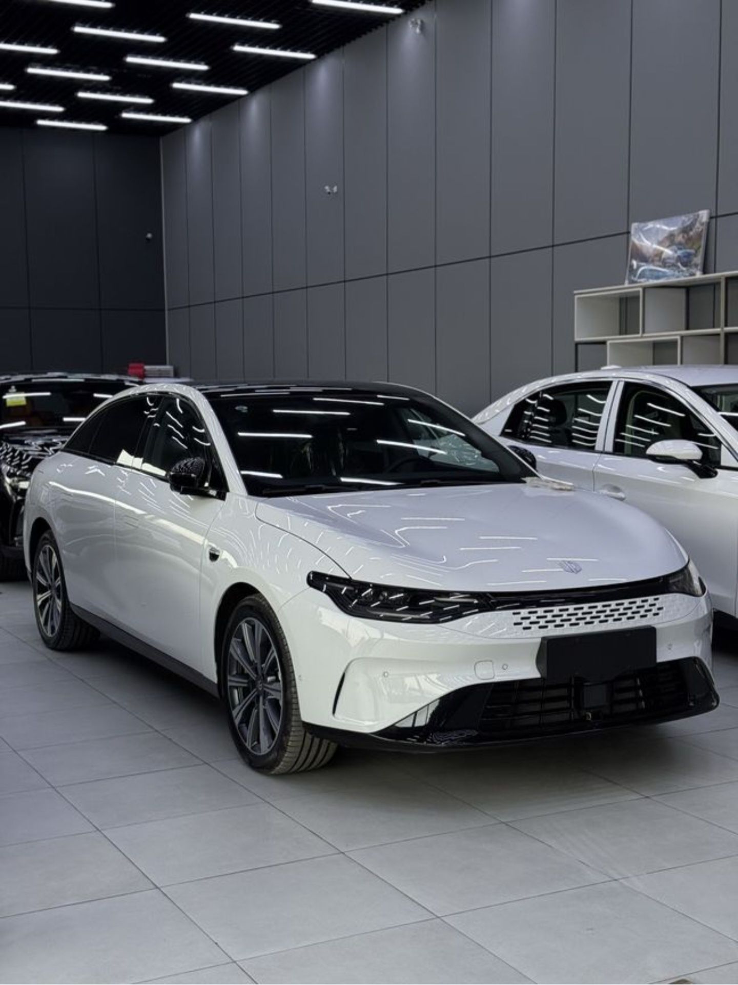 Leap Motor C01. Reev. Hybrid. Smart.