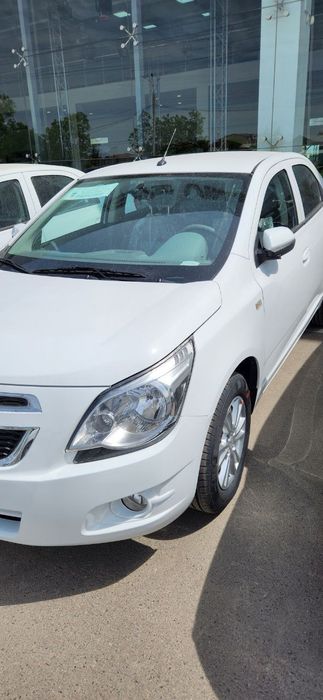 Кобальт. Бор. Ок. Фул. Стаел. Масла