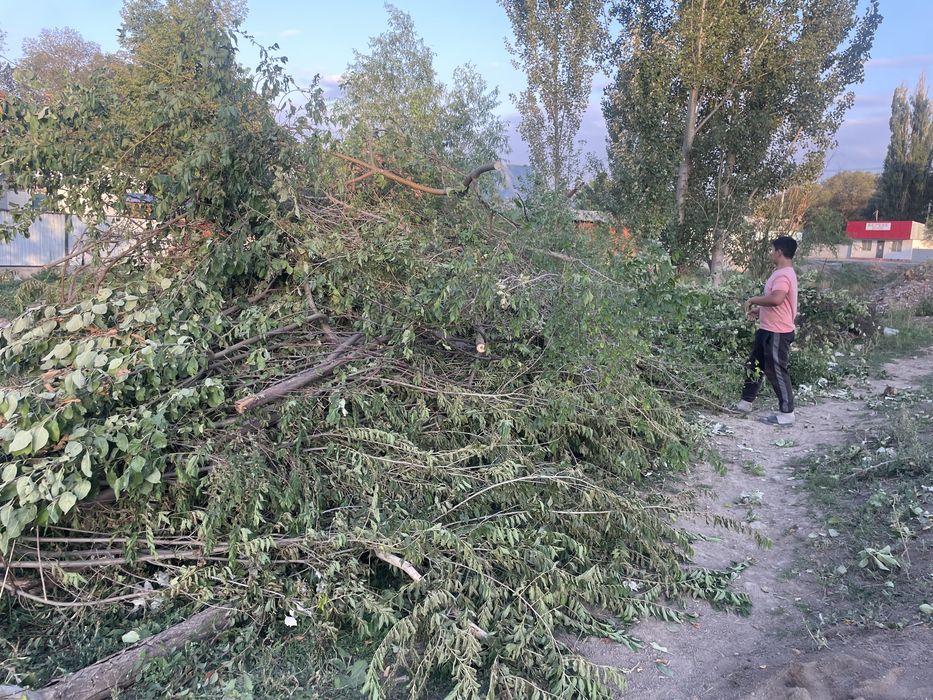 Қыстық Отын.Драва на зиму