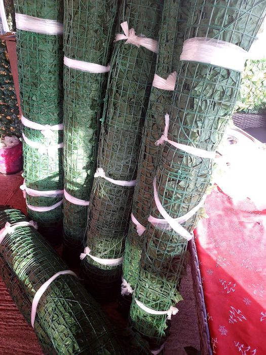 Gard Artificial Role 2 x 10 Metri 2 x 7 Metri