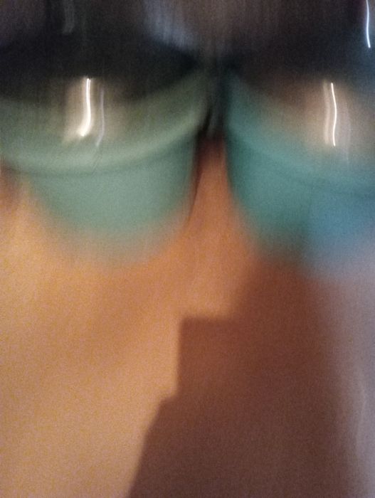 Damigene 50 litri 100 lei buc,