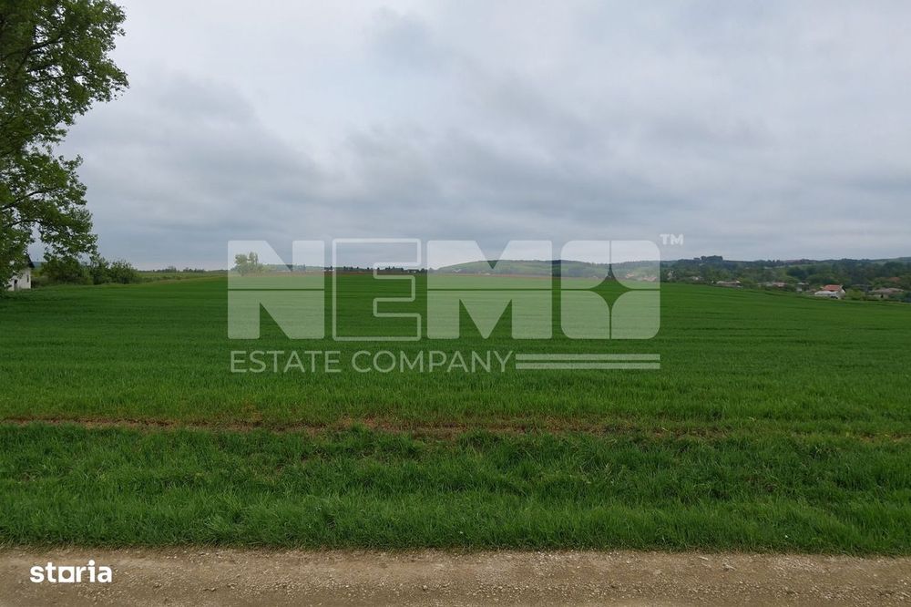 Teren intravilan 3.931 mp | Iacobești | Investiție excelentă